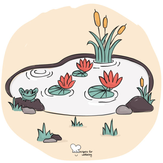 Illustration of pond with lily lotus flowers. © Recipes for Wellbeing
