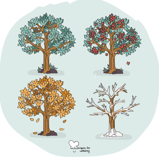 Illustration of four trees representing the seasonal changes. © Recipes for Wellbeing