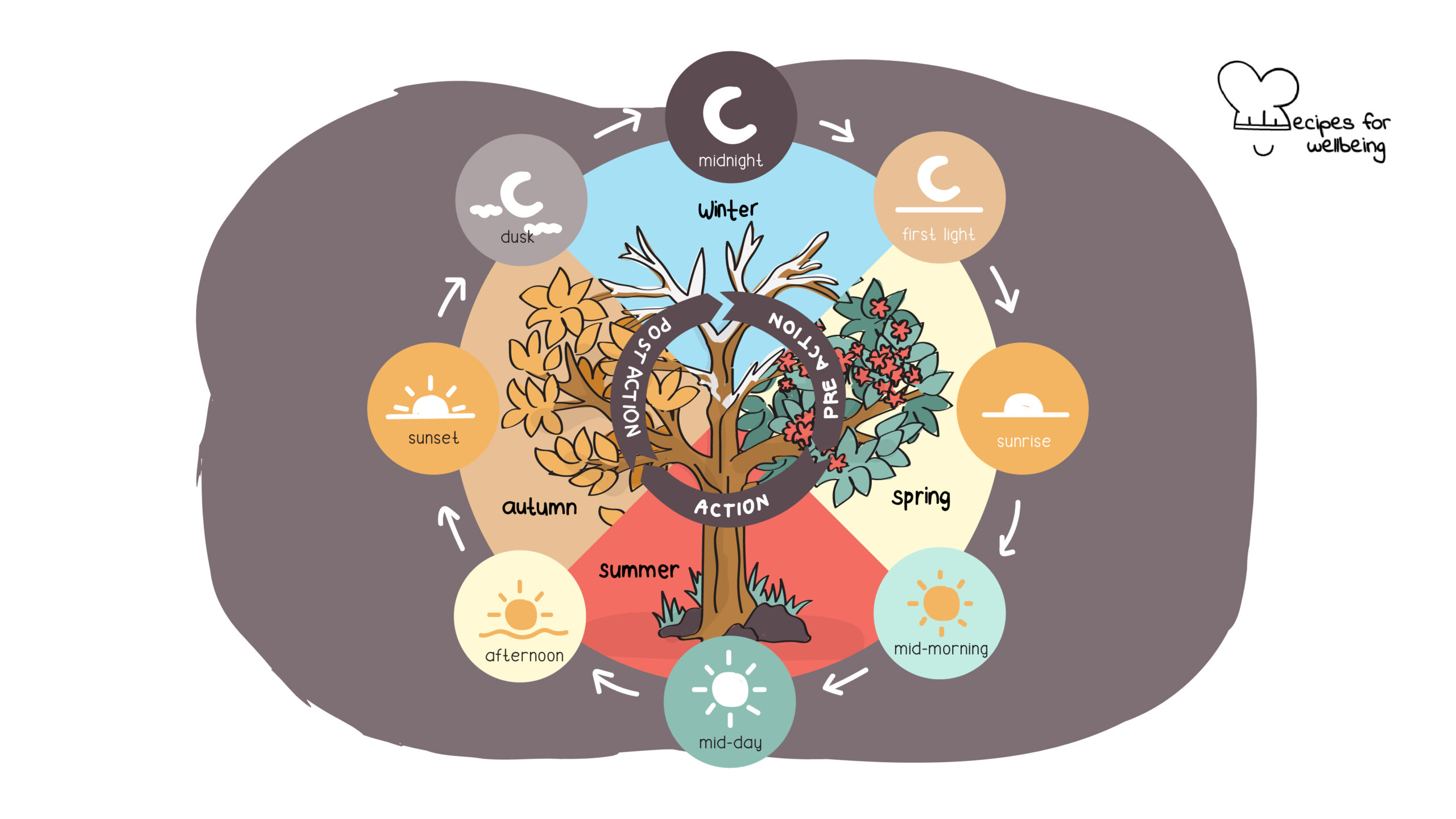 Illustration of the regenerative action cycle, which includes three phases (pre-action, action, and post-action) spread around the four seasons (winter, spring, summer, and autumn) and times of the day (midnight, first light, sunrise, mid-morning, mid-day, afternoon, sunset, and dusk). © Recipes for Wellbeing