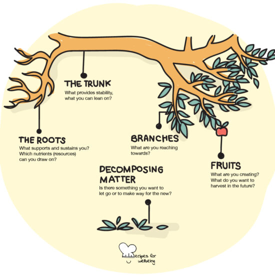 Illustration of a tree with 5 distinctive elements: roots, trunk, branches, fruits, and decomposing matter. © Recipes for Wellbeing