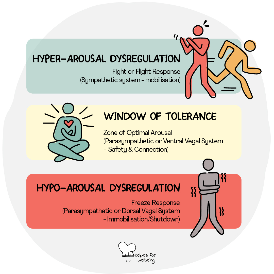Illustration of a the window of tolerance, comprising of three areas: central area (window of tolerance), upper area (hyper-arousal dysregulation), and lower area (hypo-arousal dysregulation). © Recipes for Wellbeing